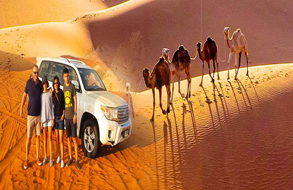 VIP Eveneing Desert Safari